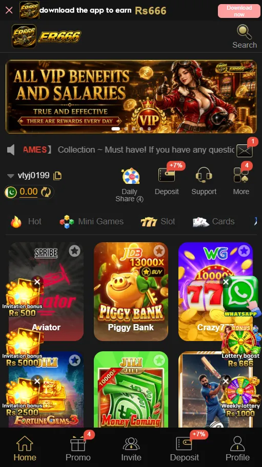 ER666 Game